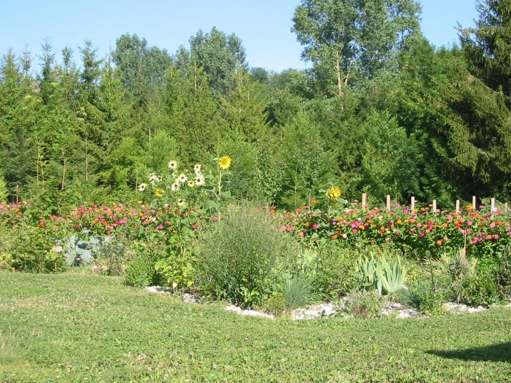 Au Pre Du Moulin Bed & Breakfast Clamanges Exterior foto