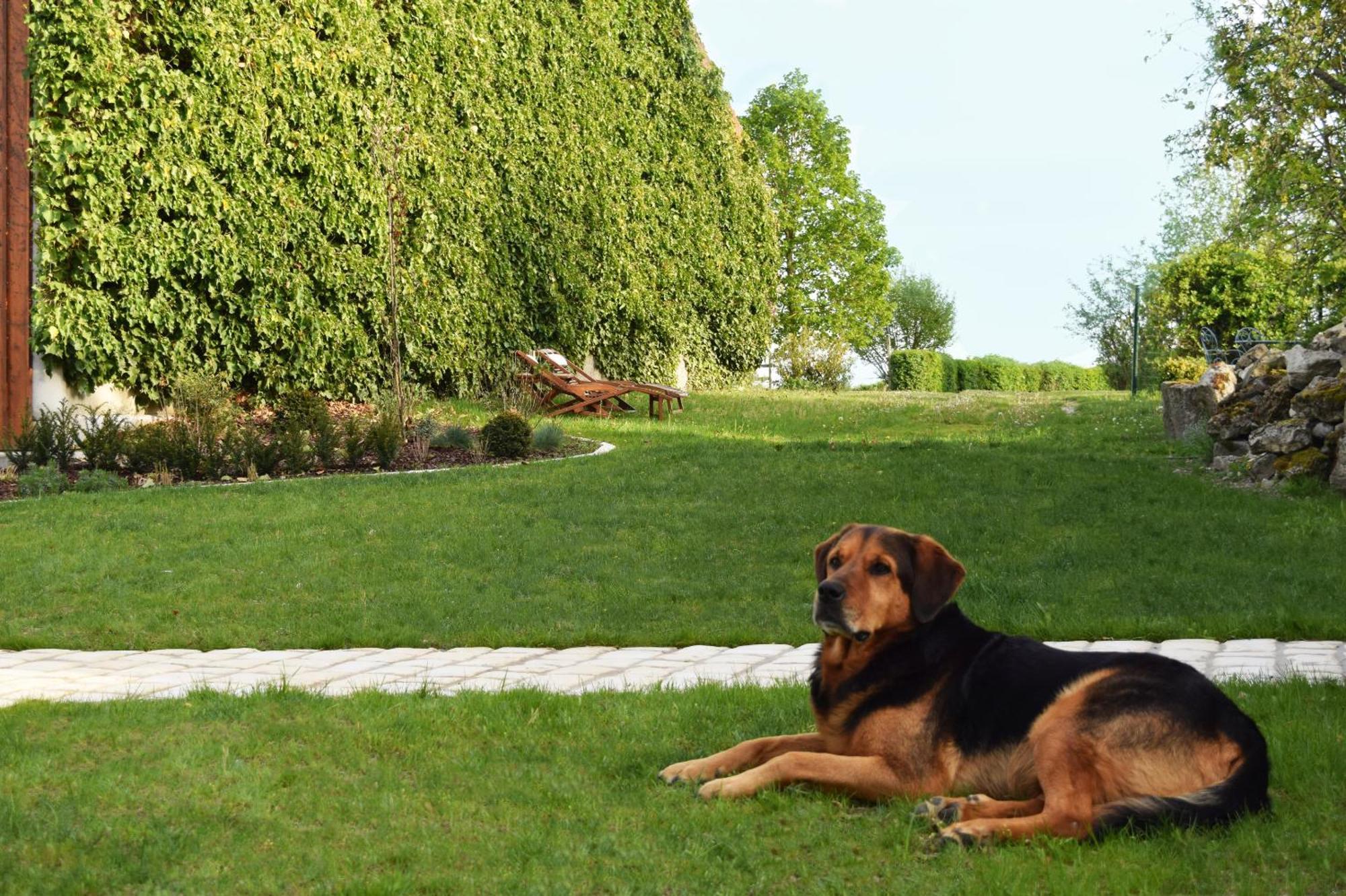 Au Pre Du Moulin Bed & Breakfast Clamanges Exterior foto